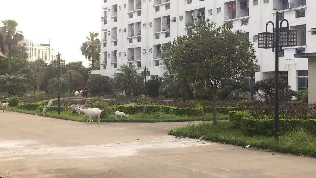 工厂环境